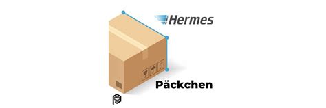 mini päckchen hermes|Hermes reisegepäck.